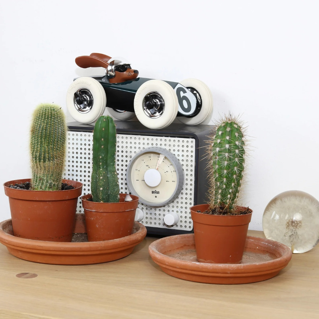 Voiture Rufus vert – Image 3